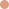 ellipse brown